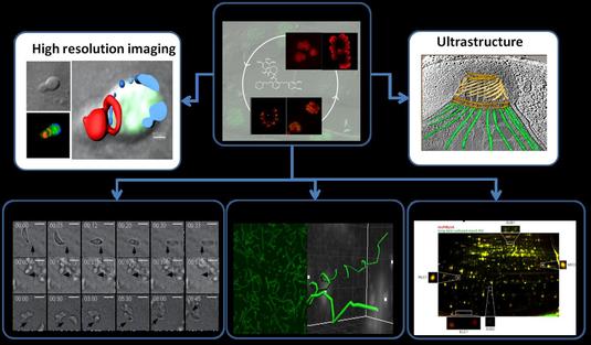 research interest 2 foto